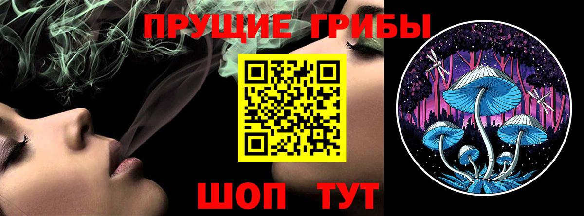 Псилоцибиновые грибы MAGIC MUSHROOMS Коммунар