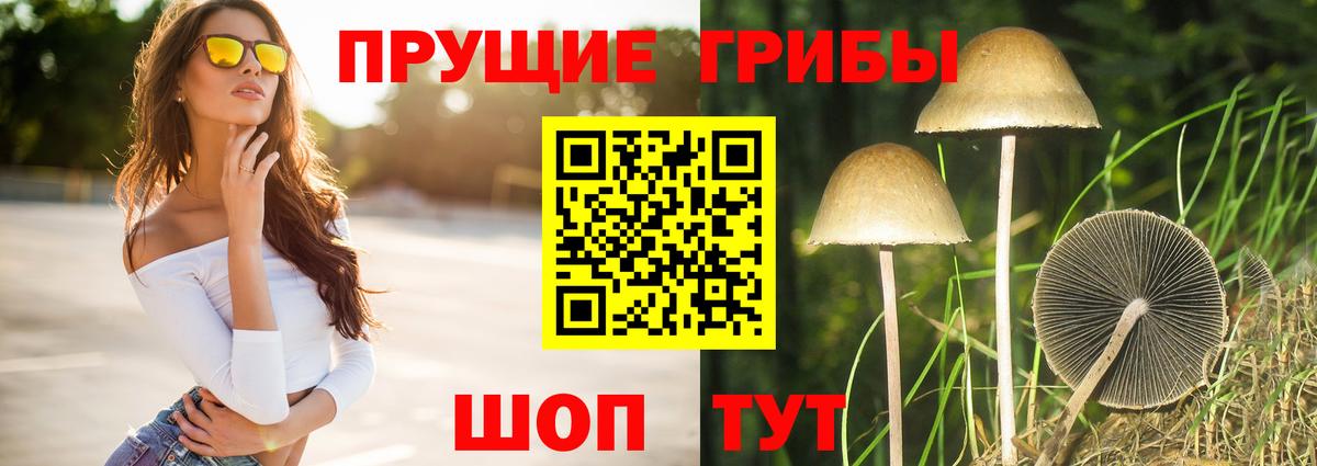 Коммунар  Галлюциногенные грибы мухоморы  Галлюциногенные грибы Psilocybine cubensis  Вход с VPN 